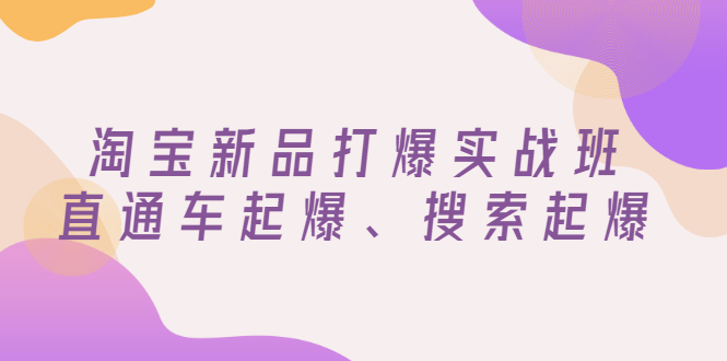 淘宝新品怎么推广效果最好:淘宝新品直通车起爆、搜索起爆(价值599元) 淘宝新品怎么推广效果最好:淘宝新品直通车起爆、搜索起爆(价值599元)